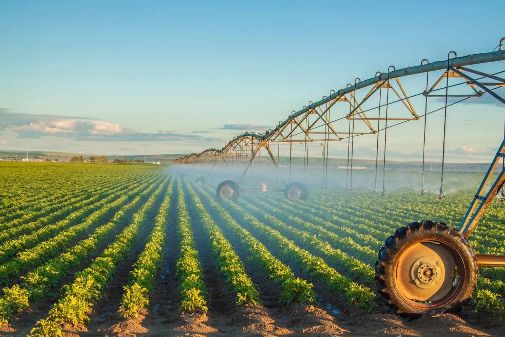 A large agricultural irrigation system waters the crops.